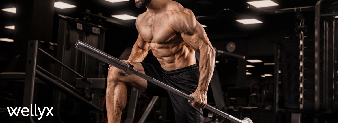 How long does it take to build muscle?