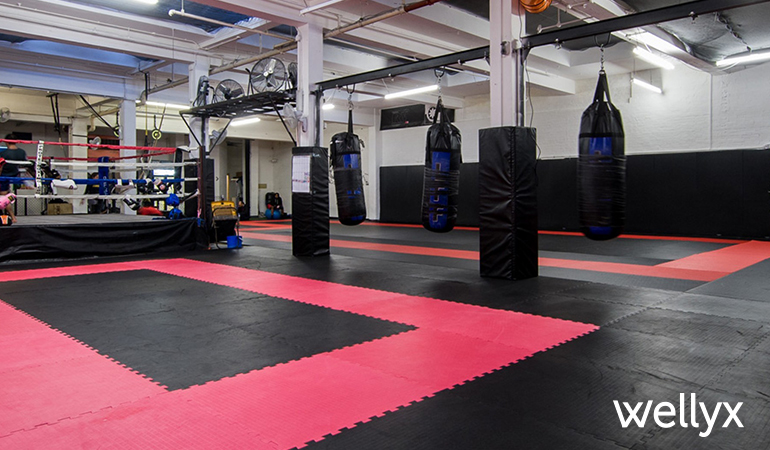 How Much Does an MMA Gym Cost