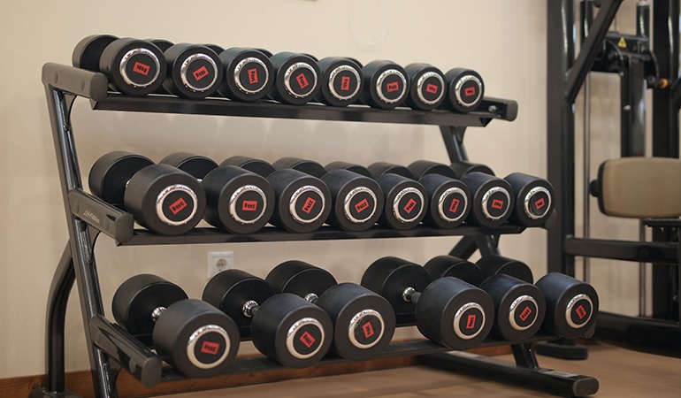 New gym online equipment